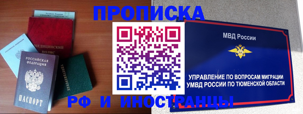 прописка в Чудово